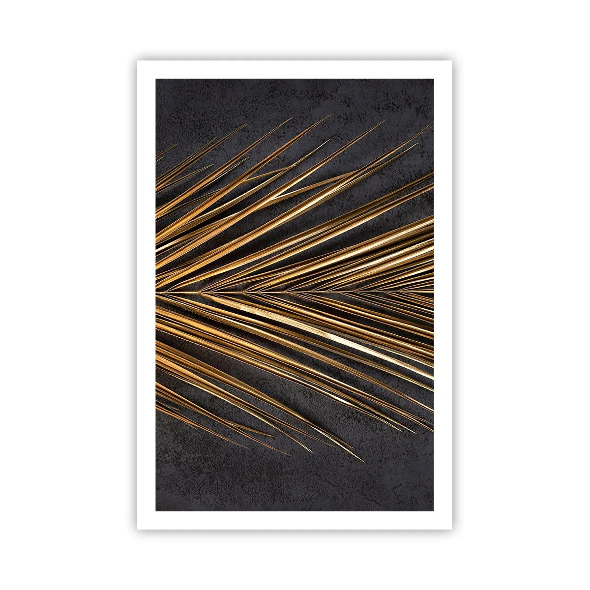 Póster - El oro de los trópicos - 61x91 cm