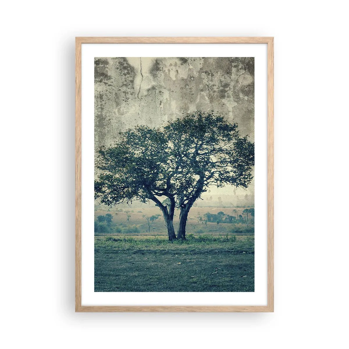 Póster en marco roble claro - El manzano - 50x70 cm