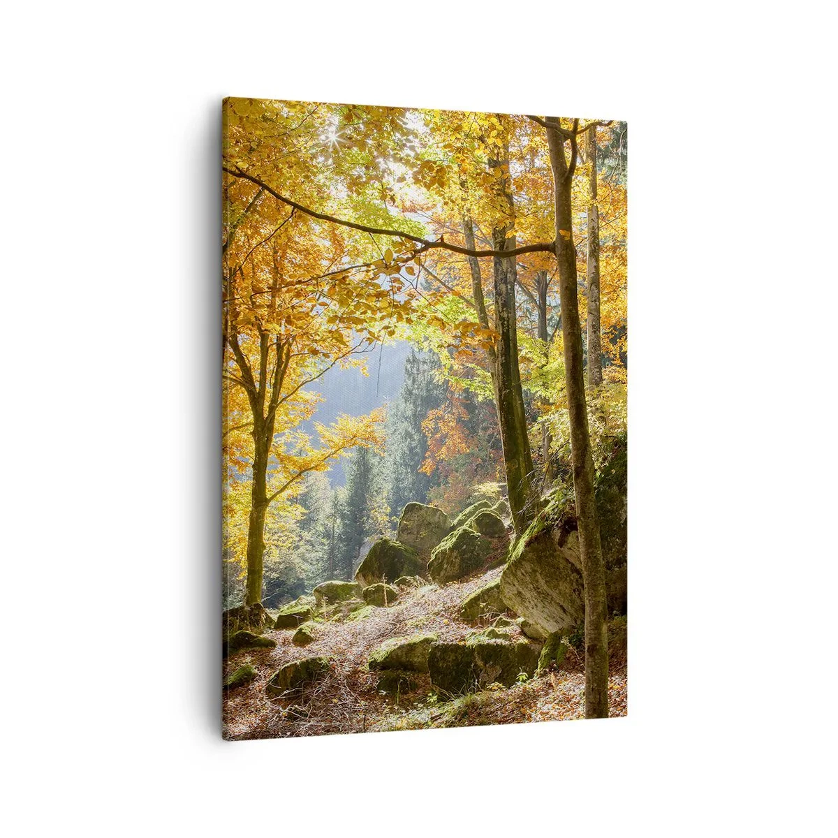 Cuadro sobre lienzo - Impresión de Imagen - Un bosque otoñal lleno de hojas doradas y luz solar. - 50x70cm - Tiempo de descanso - Decoración de pared moderna para salón y dormitorio ARTTOR