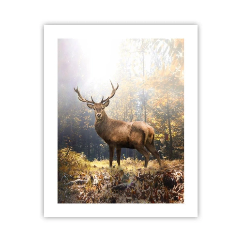 Póster - Con toda la majestuosidad - 40x50 cm