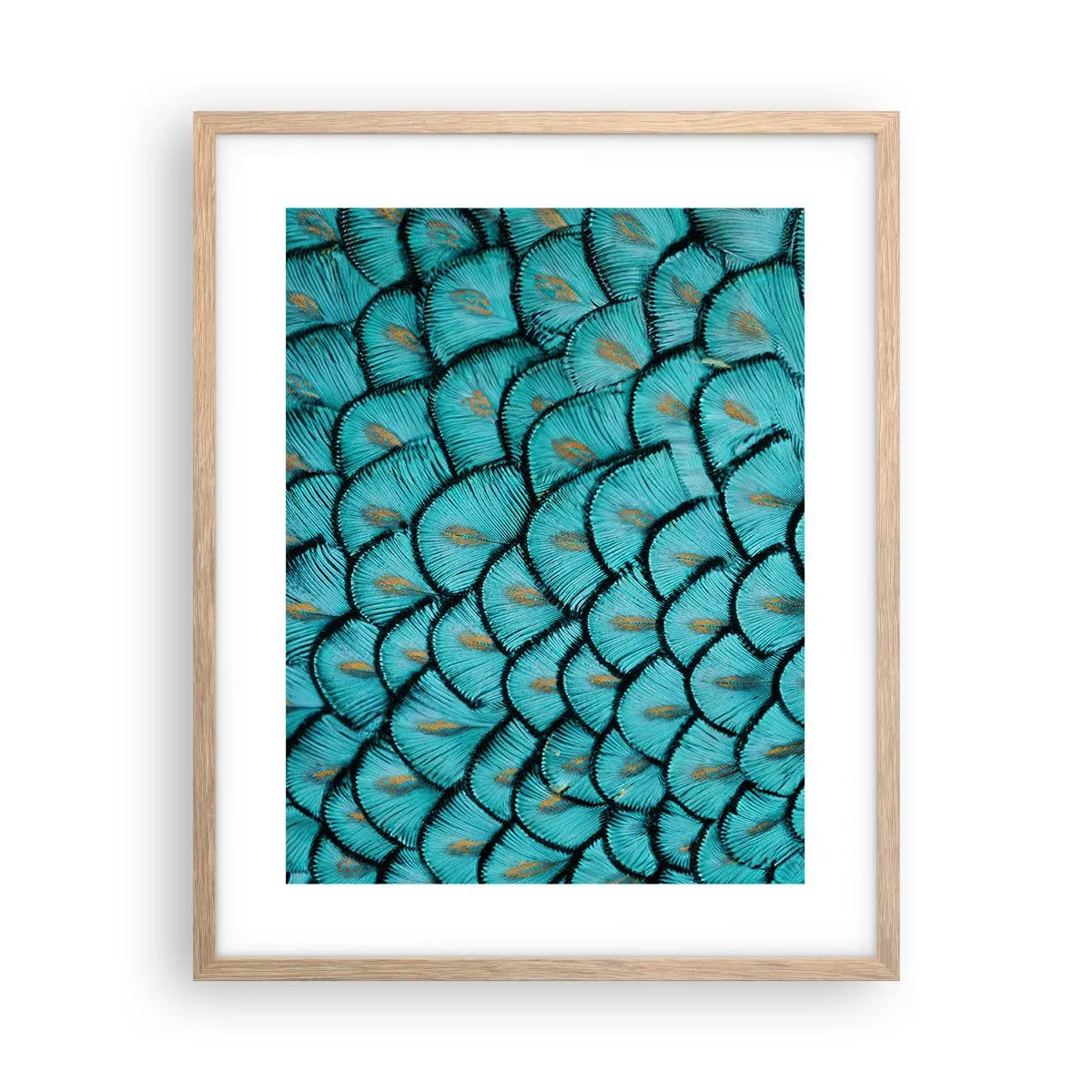 Póster en marco roble claro - La gran gala de las plumas - 40x50 cm