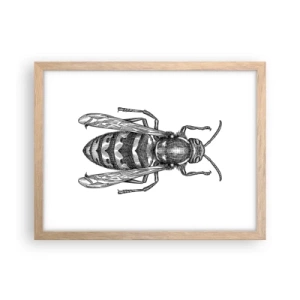 Póster en marco roble claro - Desde un planeta de insectos - 40x30 cm