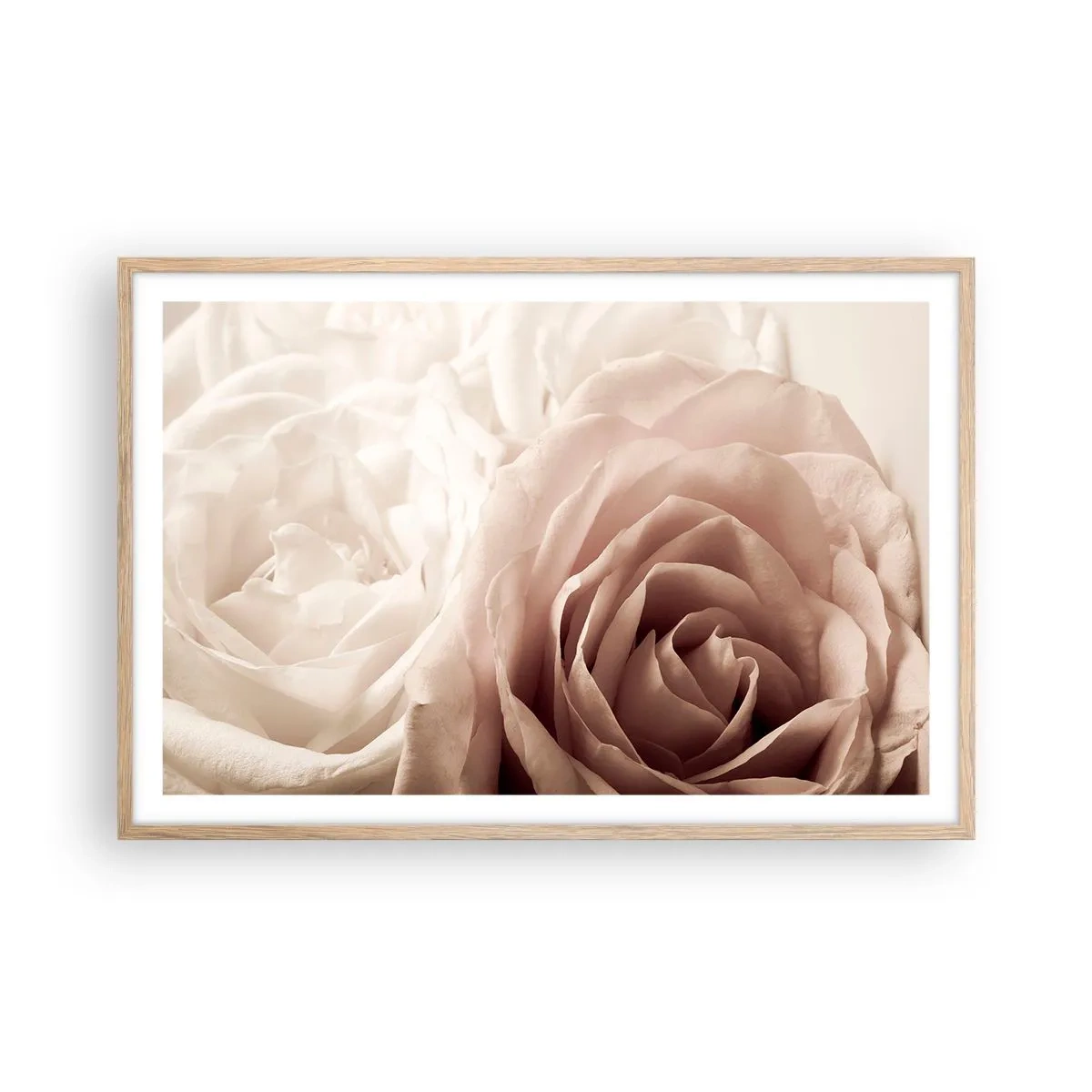 Póster en marco roble claro - En el corazón de una rosa - 91x61 cm
