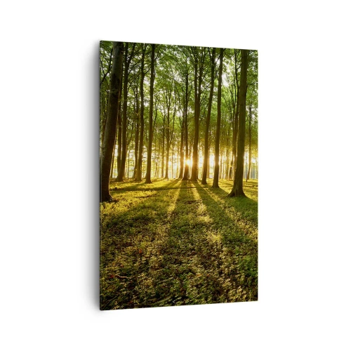 Cuadro sobre lienzo - Impresión de Imagen - El sol poniente en el bosque caducifolio - 80x120cm - Una fotografía de todos los manantiales - Decoración de pared moderna para salón y dormitorio ARTTOR