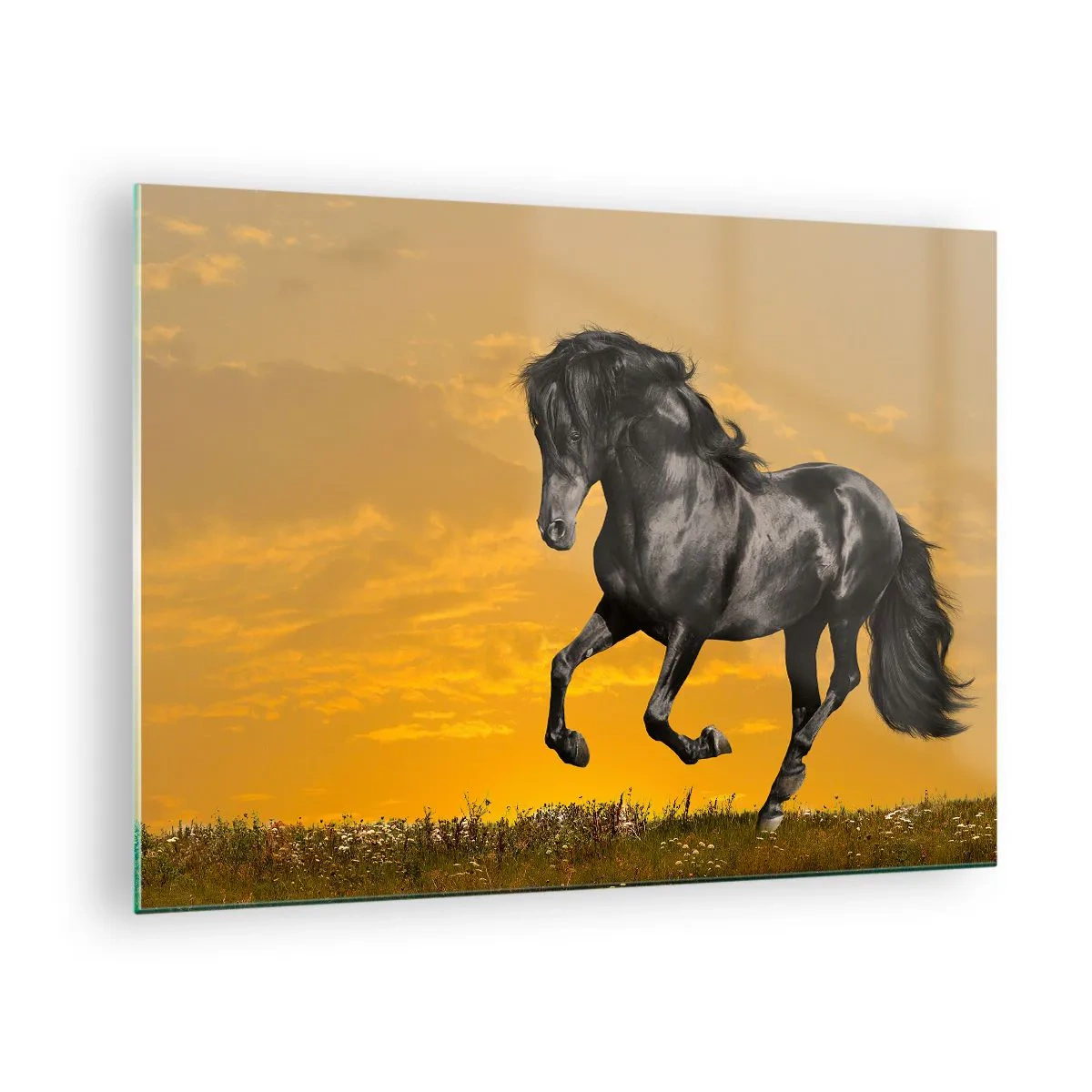Cuadro sobre vidrio - Impresiones sobre Vidrio - Un caballo negro galopando contra el sol poniente. - 70x50cm - Hermoso, libre y salvaje - Decoración de pared moderna para salón y dormitorio ARTTOR