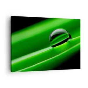 Cuadro sobre lienzo - Impresión de Imagen - Primer plano de una gota de rocío sobre una hoja verde - 70x50cm - La vida de cerca - Decoración de pared moderna para salón y dormitorio ARTTOR
