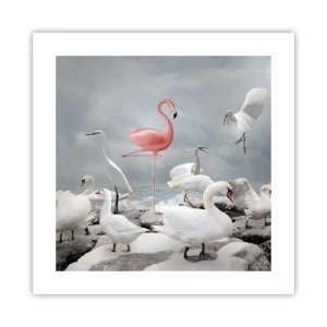 Póster - ¿De dónde vengo? - 40x40 cm