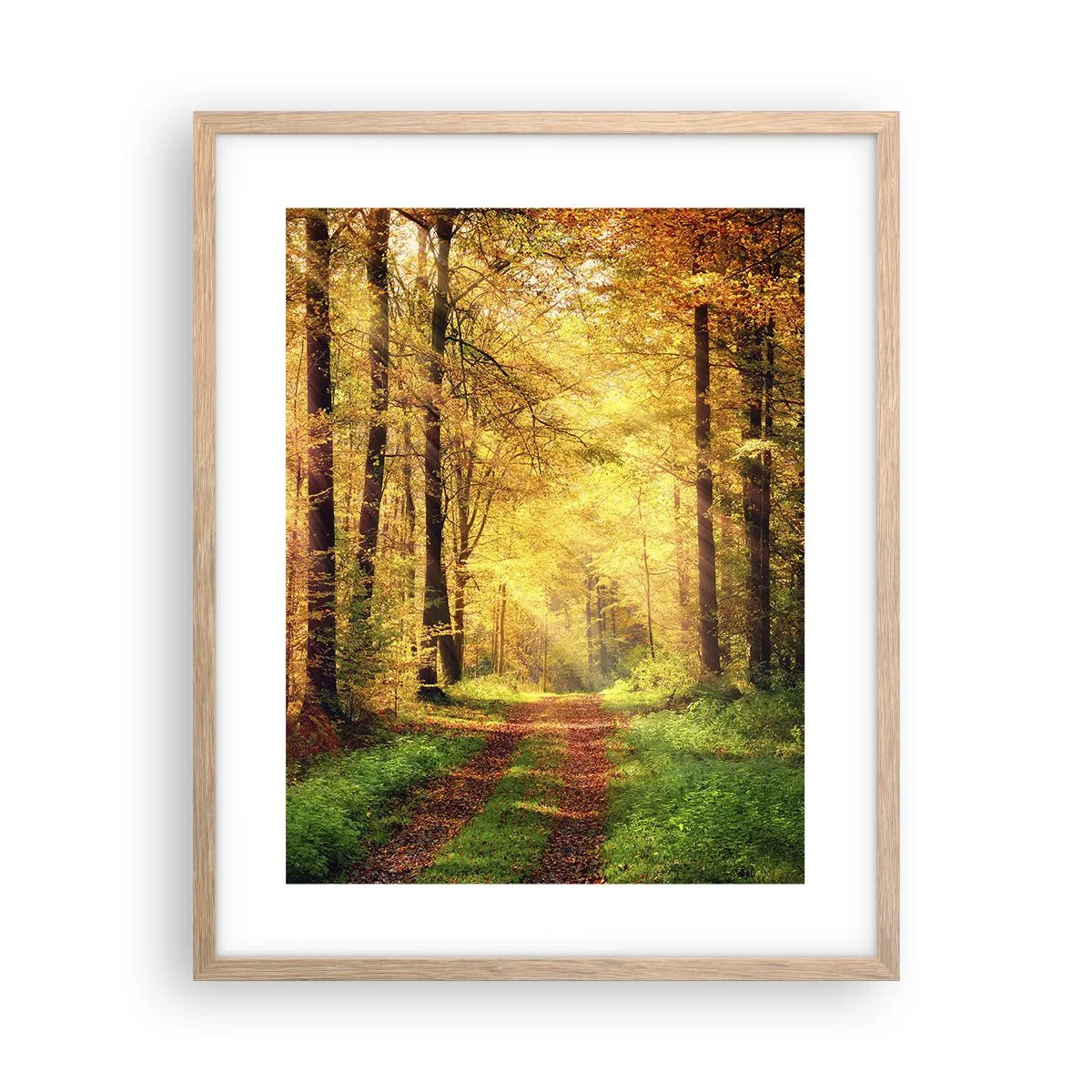 Póster en marco roble claro - Silencio dorado del bosque - 40x50 cm