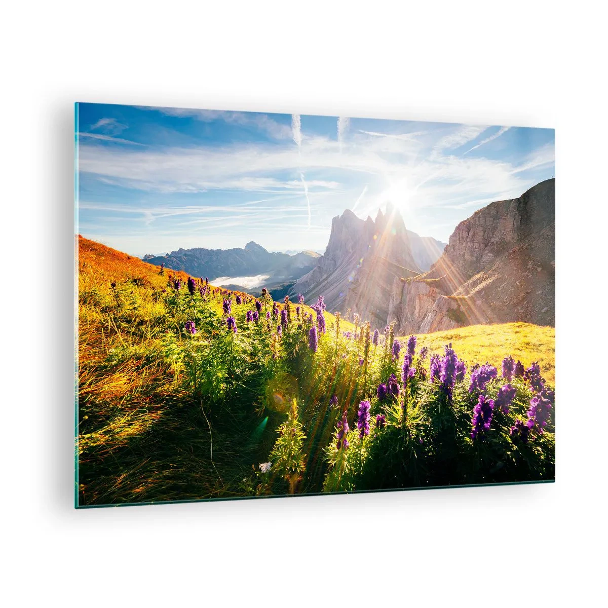 Cuadro sobre vidrio - Impresiones sobre Vidrio - Un prado de montaña lleno de flores con un telón de fondo de picos rocosos al amanecer. - 70x50cm - La vida secreta de las hierbas - Decoración de pared moderna para salón y dormitorio ARTTOR