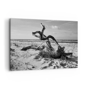 Cuadro sobre lienzo - Impresión de Imagen - Paisaje en blanco y negro con un árbol muerto en la playa. - 120x80cm - Escultura marina - Decoración de pared moderna para salón y dormitorio ARTTOR