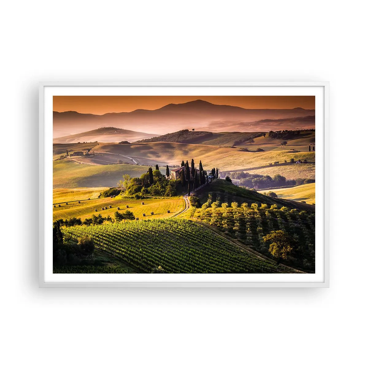 Póster en marco blanco - Paisaje toscano - 100x70 cm
