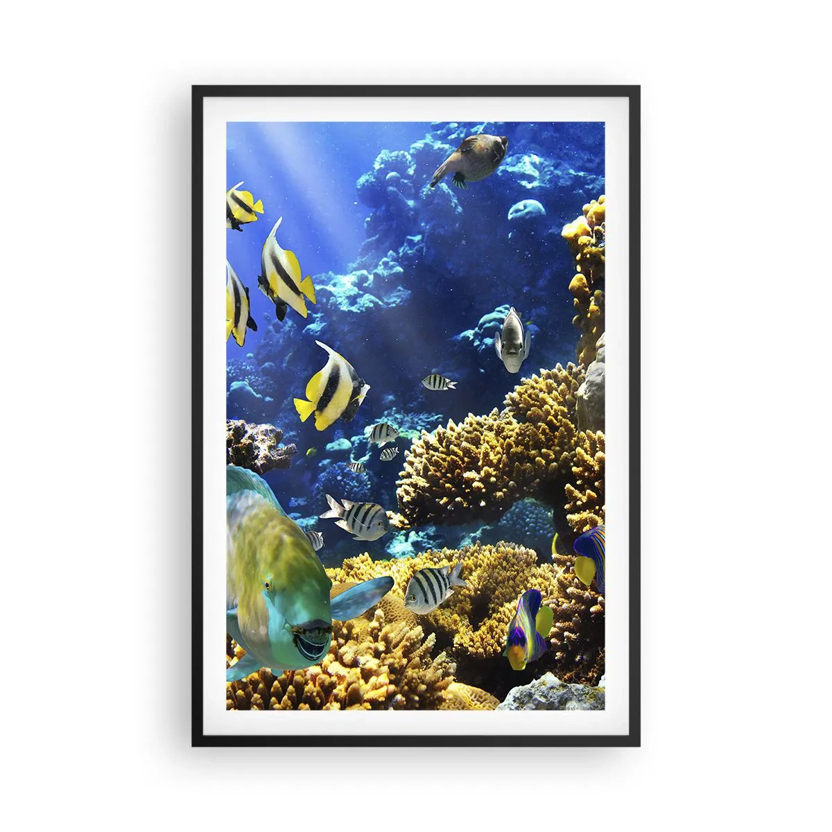 Póster en marco negro - Vacaciones submarinas - 61x91 cm