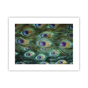 Póster - Mirada de pavo real - 40x30 cm