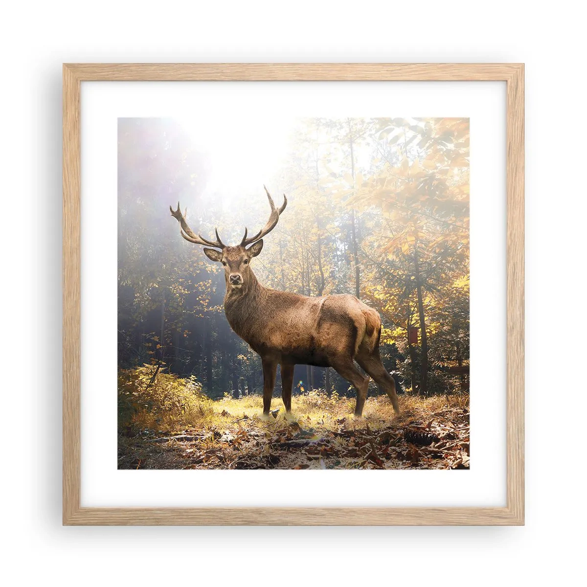 Póster en marco roble claro - Con toda la majestuosidad - 40x40 cm