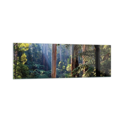 Cuadro sobre vidrio - Impresiones sobre Vidrio - Bosque tropical iluminado por los rayos del sol - 160x50cm - Un cuento de hadas del bosque - Decoración de pared moderna para salón y dormitorio ARTTOR