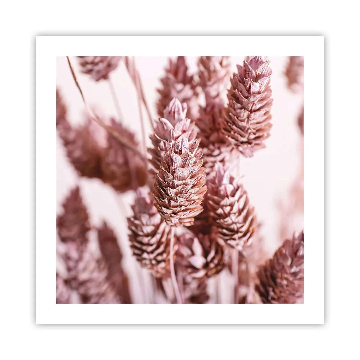 Póster - Aparentemente discreto - 50x50 cm