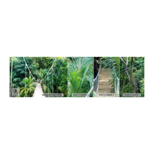 Muestra de fotomural Premium Canvas - ¡Bienvenido a la selva! - Paisaje, Selva, Honduras - 100x30 cm