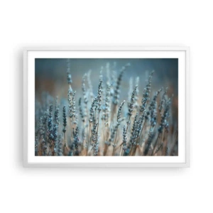 Póster en marco blanco - Fragante pasto - 70x50 cm