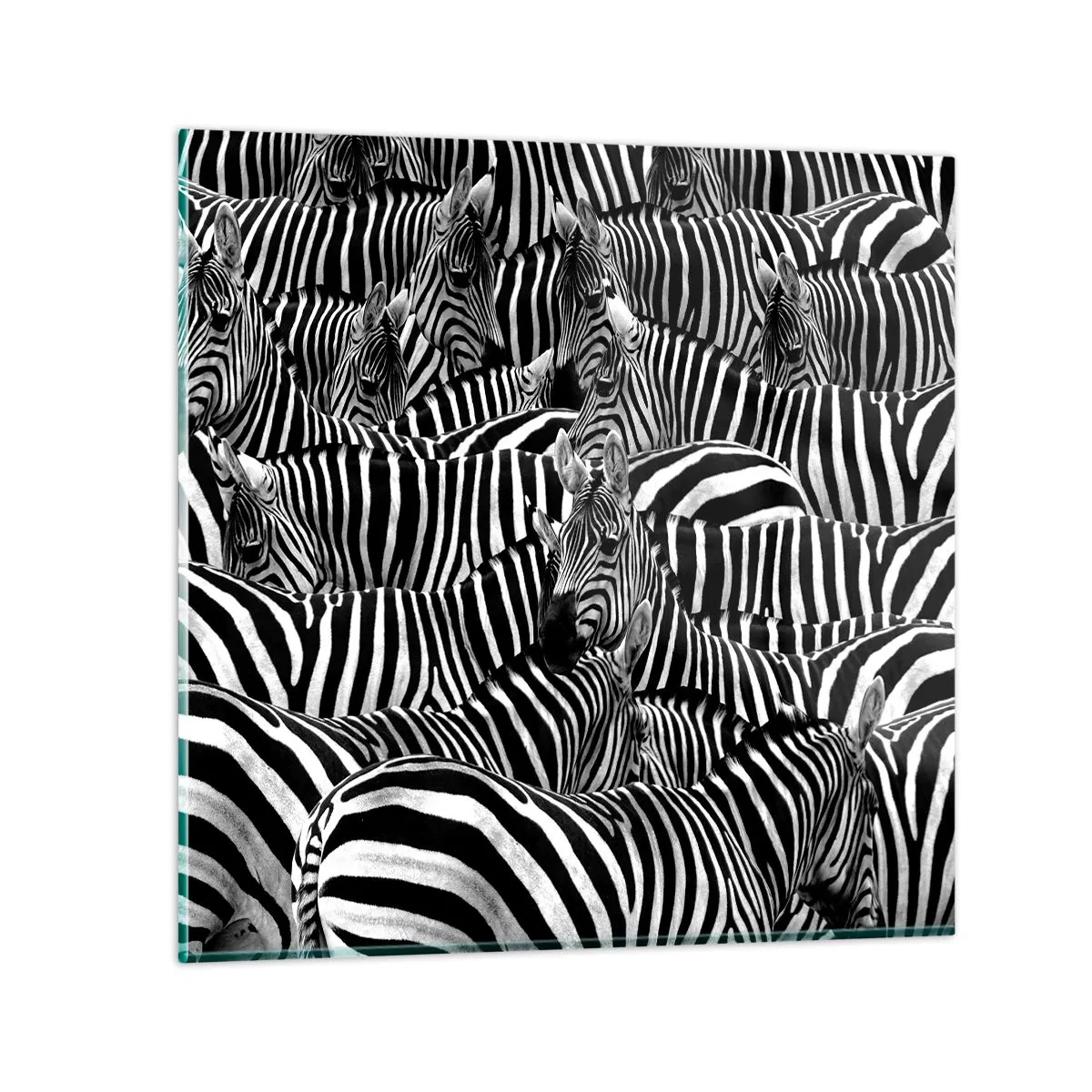 Cuadro sobre vidrio - Impresiones sobre Vidrio - Retrato a rayas - 70x70 cm