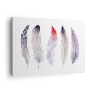 Cuadro sobre lienzo - Impresión de Imagen - Cinco delicadas plumas en tonos pastel sobre un fondo claro. - 70x50cm - Suave como la niebla de muchos colores - Decoración de pared moderna para salón y dormitorio ARTTOR