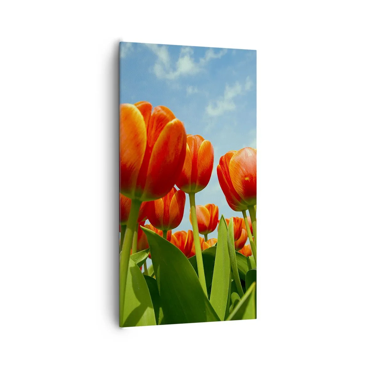 Cuadro sobre lienzo - Impresión de Imagen - Excepto el cielo azul no necesitan nada en la vida - 65x120 cm