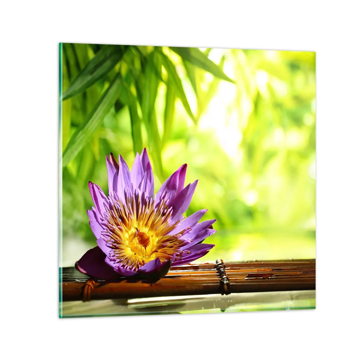 Cuadro sobre vidrio - Impresiones sobre Vidrio - Bajo el sol de Asia - 60x60 cm