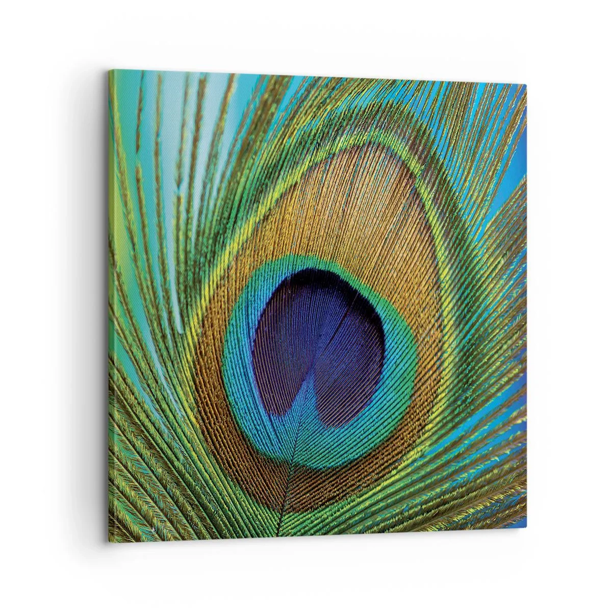 Cuadro sobre lienzo - Impresión de Imagen - Cara a cara - 60x60 cm