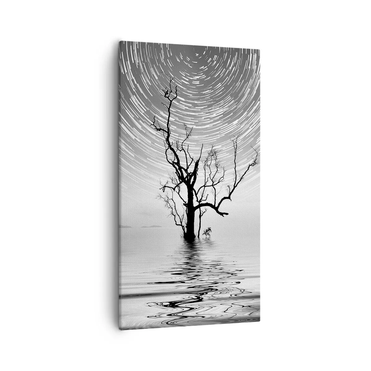 Cuadro sobre lienzo - Impresión de Imagen - Una sinfonía de la naturaleza - 55x100 cm