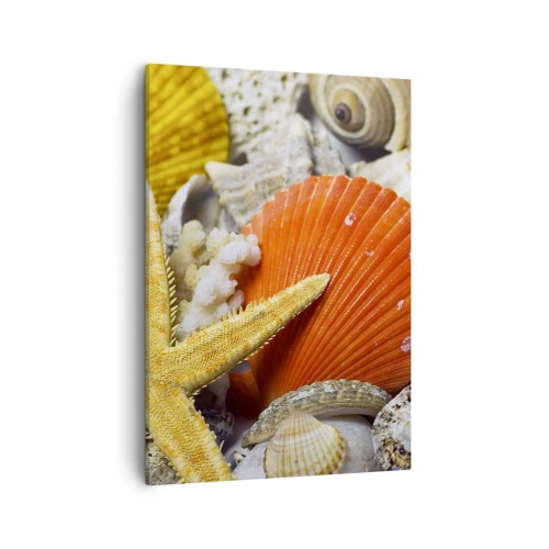 Cuadro sobre lienzo - Impresión de Imagen - Conchas y estrellas de mar en una composición marina - 50x70cm - Tesoros del océano - Decoración de pared moderna para salón y dormitorio ARTTOR