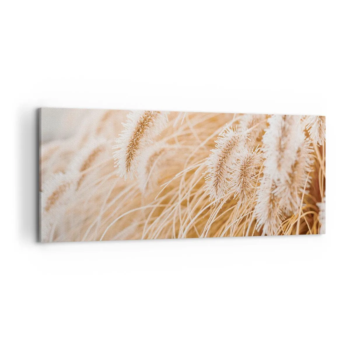 Cuadro sobre lienzo - Impresión de Imagen - Primer plano de hierbas delicadas y doradas a la luz del sol. - 120x50cm - El dorado susurro de las hierbas - Decoración de pared moderna para salón y dormitorio ARTTOR