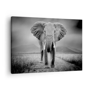 Cuadro sobre lienzo - Impresión de Imagen - Un poderoso elefante en la sabana en tonos monocromáticos. - 70x50cm - El anfitrión da la bienvenida - Decoración de pared moderna para salón y dormitorio ARTTOR