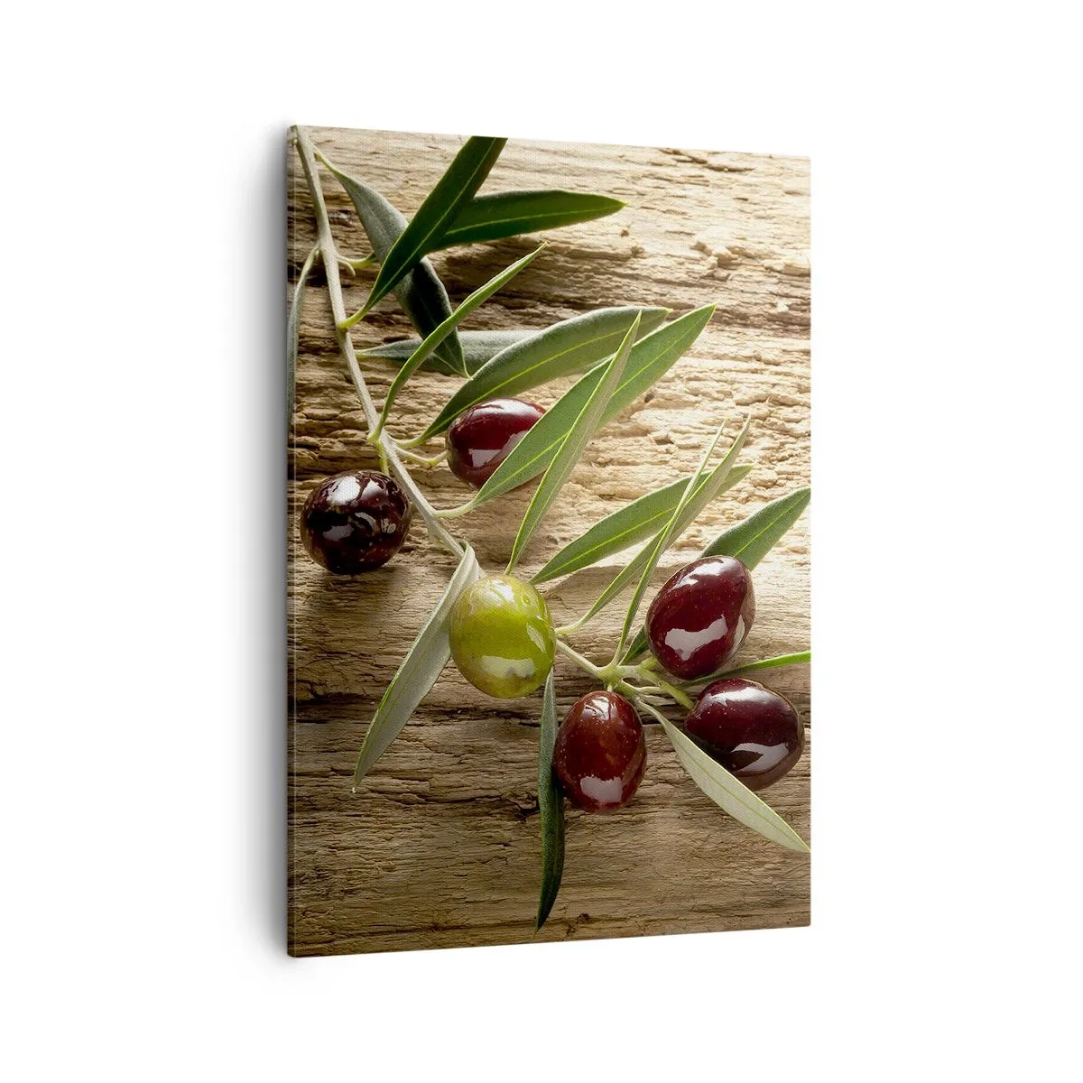 Cuadro sobre lienzo - Impresión de Imagen - Rama de olivo con fruta sobre un fondo de madera envejecida - 50x70cm - Directamente de la naturaleza - Decoración de pared moderna para salón y dormitorio ARTTOR