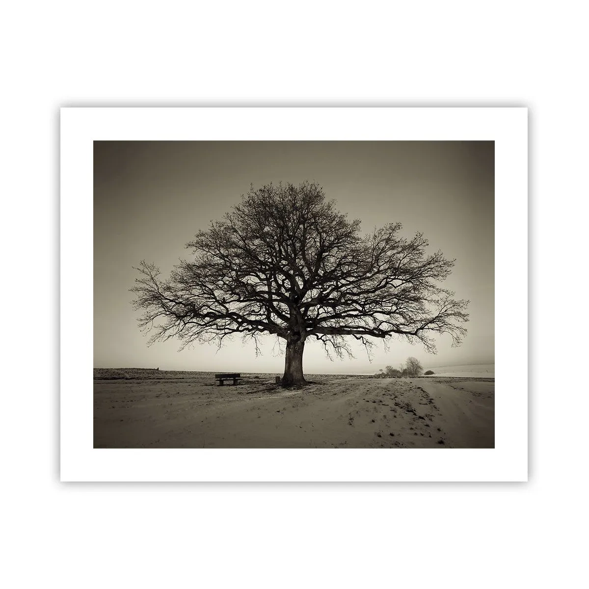 Póster - De aquí a la eternidad - 50x40 cm