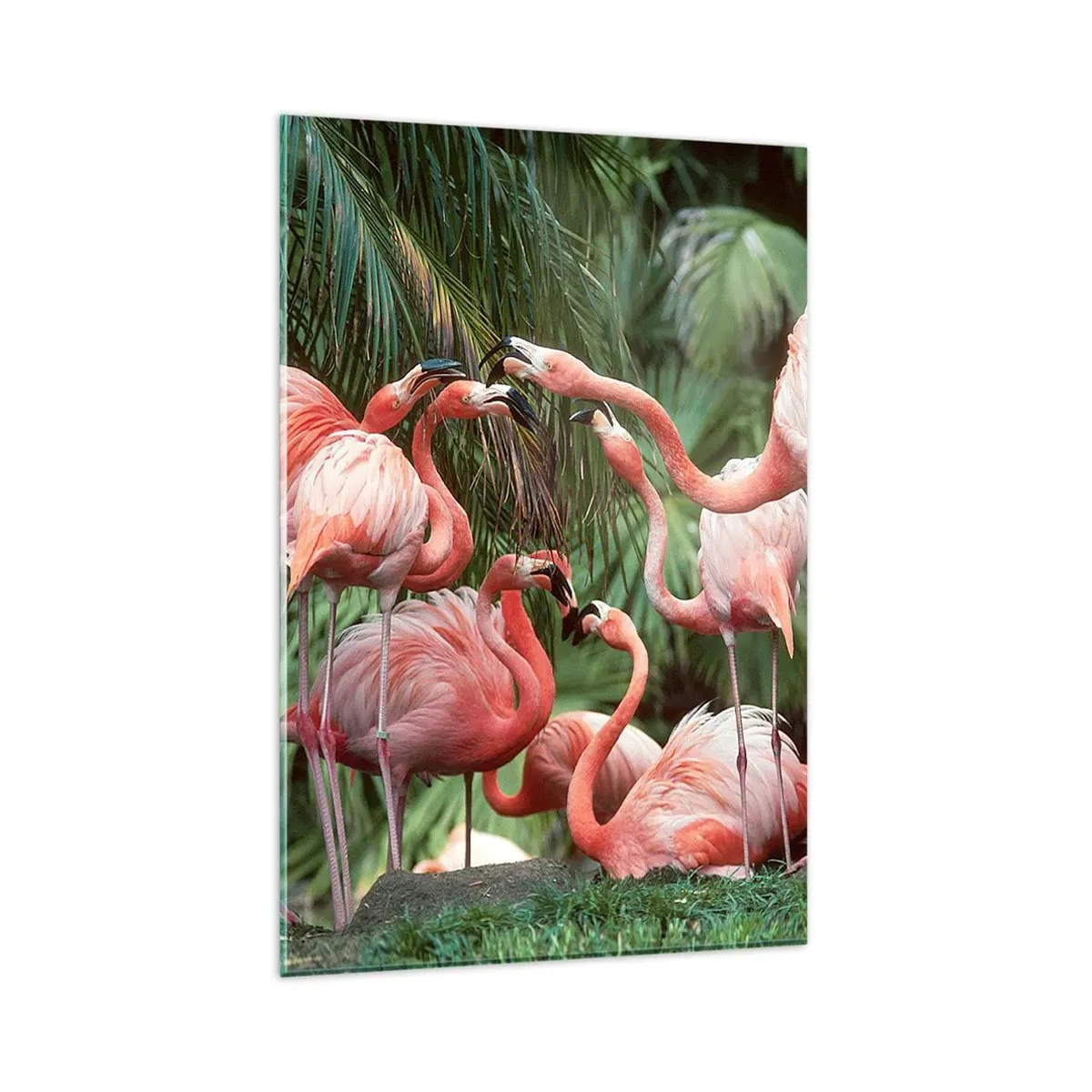 Cuadro sobre vidrio - Impresiones sobre Vidrio - Un grupo de flamencos en un entorno tropical rodeado de palmeras. - 80x120cm - Cotilleos de la tarde - Decoración de pared moderna para salón y dormitorio ARTTOR