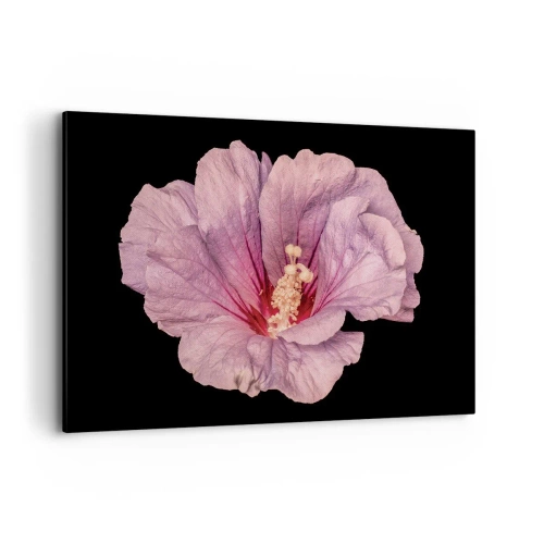 Cuadro sobre lienzo - Impresión de Imagen - Flor rosa sobre fondo negro - 120x80cm - Directo al corazón - Decoración de pared moderna para salón y dormitorio ARTTOR