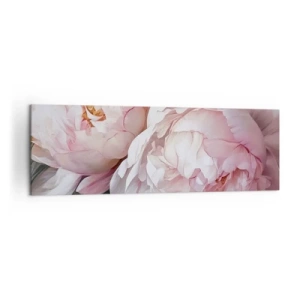 Cuadro sobre lienzo - Impresión de Imagen - Delicadas peonías rosas en plena floración. - 160x50cm - En flor - Decoración de pared moderna para salón y dormitorio ARTTOR