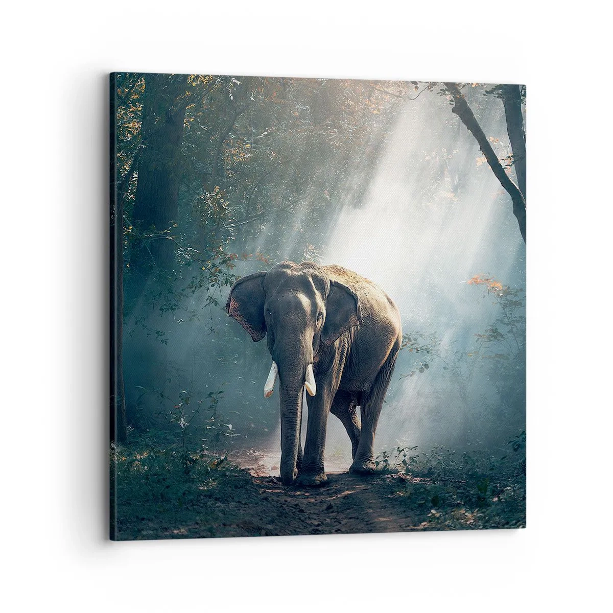 Cuadro sobre lienzo - Impresión de Imagen - Un paseo tranquilo - 70x70 cm