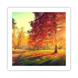 Póster - El rojo es hermoso - 50x50 cm