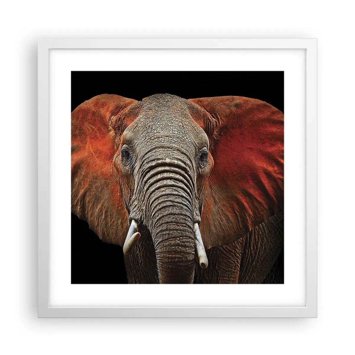 Póster en marco blanco - Soy salvaje, ¿y tú? - 40x40 cm