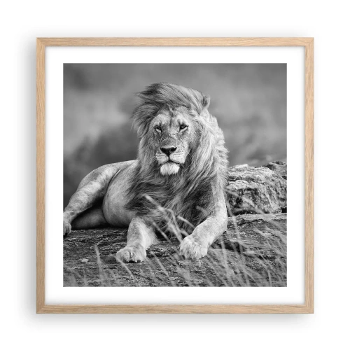 Póster en marco roble claro - La siesta real - 50x50 cm