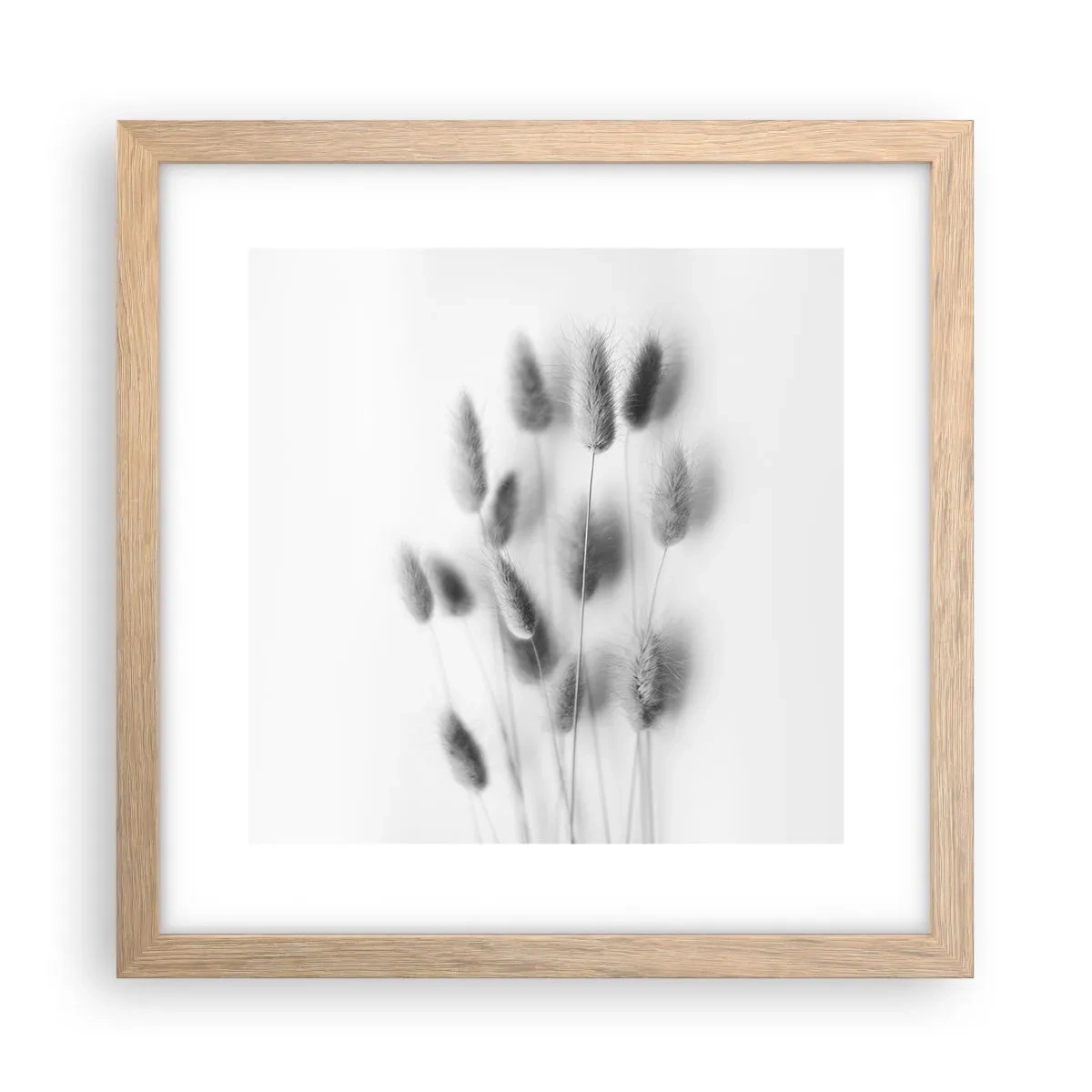 Póster en marco roble claro - Esponjas naturales - 30x30 cm
