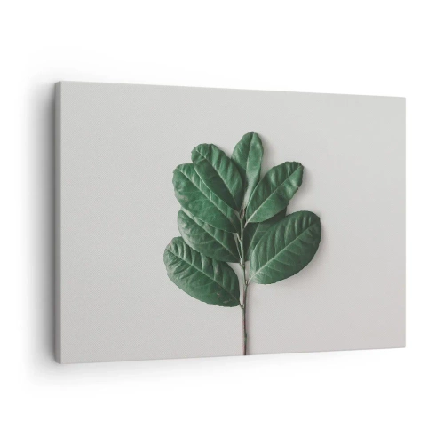 Cuadro sobre lienzo - Impresión de Imagen - Una ramita de hojas verdes sobre un fondo claro. - 70x50cm - El dibujo de la propia naturaleza - Decoración de pared moderna para salón y dormitorio ARTTOR
