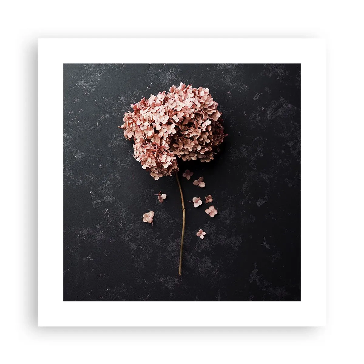 Póster - Un signo verdaderamente romántico - 40x40 cm