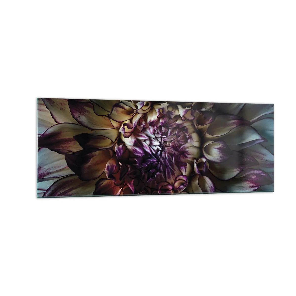 Cuadro sobre vidrio - Impresiones sobre Vidrio - Primer plano de una flor de dalia en tonos oscuros. - 140x50cm - El florecimiento de la hermosura - Decoración de pared moderna para salón y dormitorio ARTTOR
