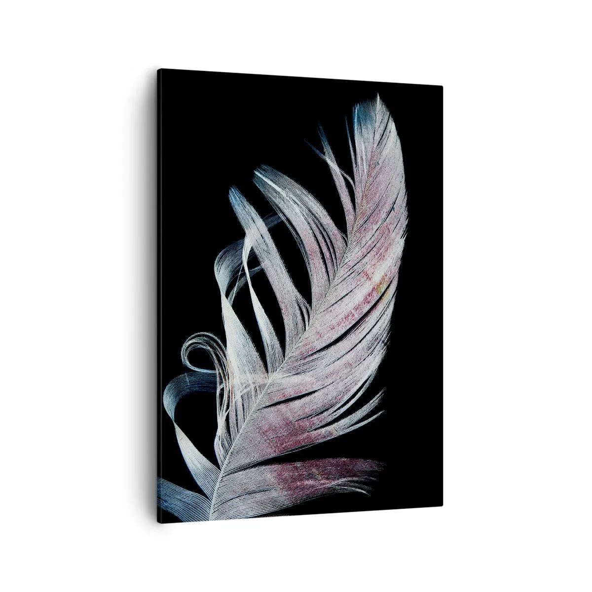Cuadro sobre lienzo - Impresión de Imagen - Una delicada pluma sobre un fondo negro en un enfoque artístico. - 50x70cm - Piensa en el tacto - Decoración de pared moderna para salón y dormitorio ARTTOR