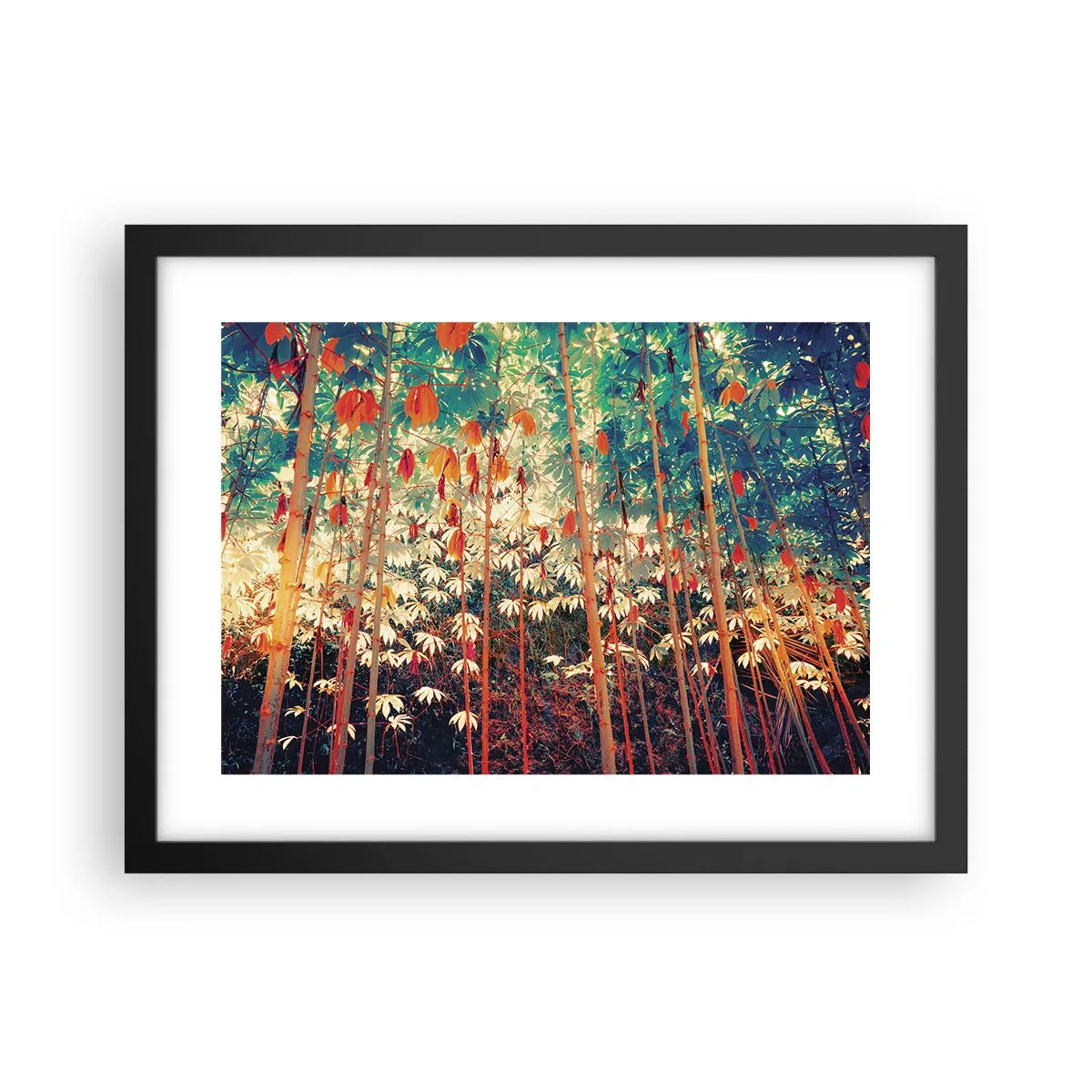 Póster en marco negro - La vida secreta de las hojas - 40x30 cm