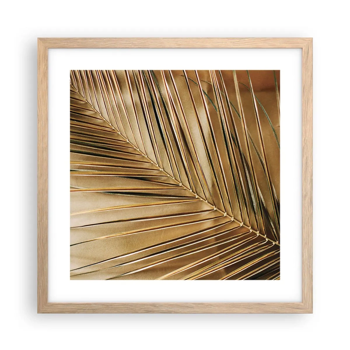 Póster en marco roble claro - Una columnata natural - 40x40 cm