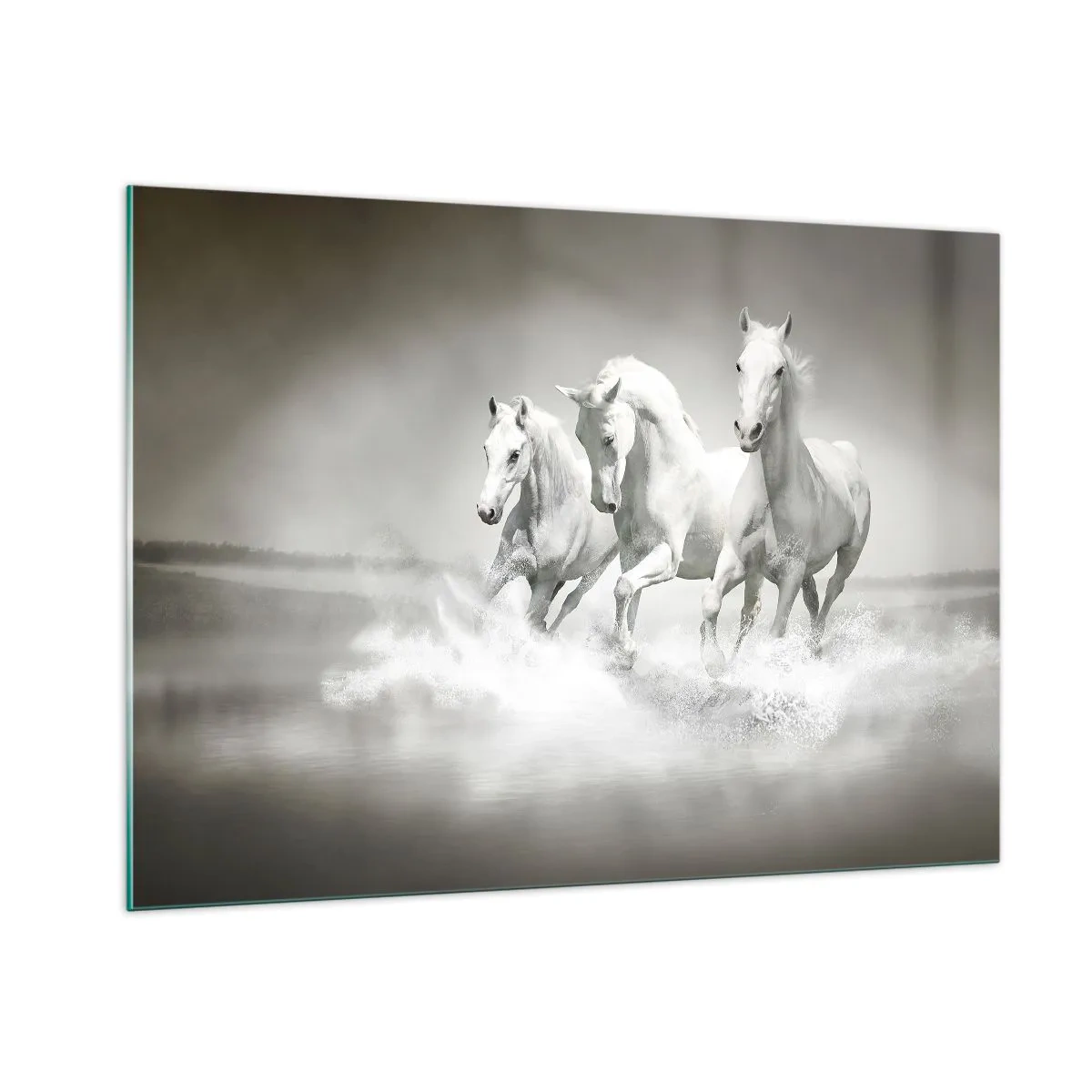 Cuadro sobre vidrio - Impresiones sobre Vidrio - Tres caballos blancos galopando por el agua - 100x70cm - Locura blanca - Decoración de pared moderna para salón y dormitorio ARTTOR