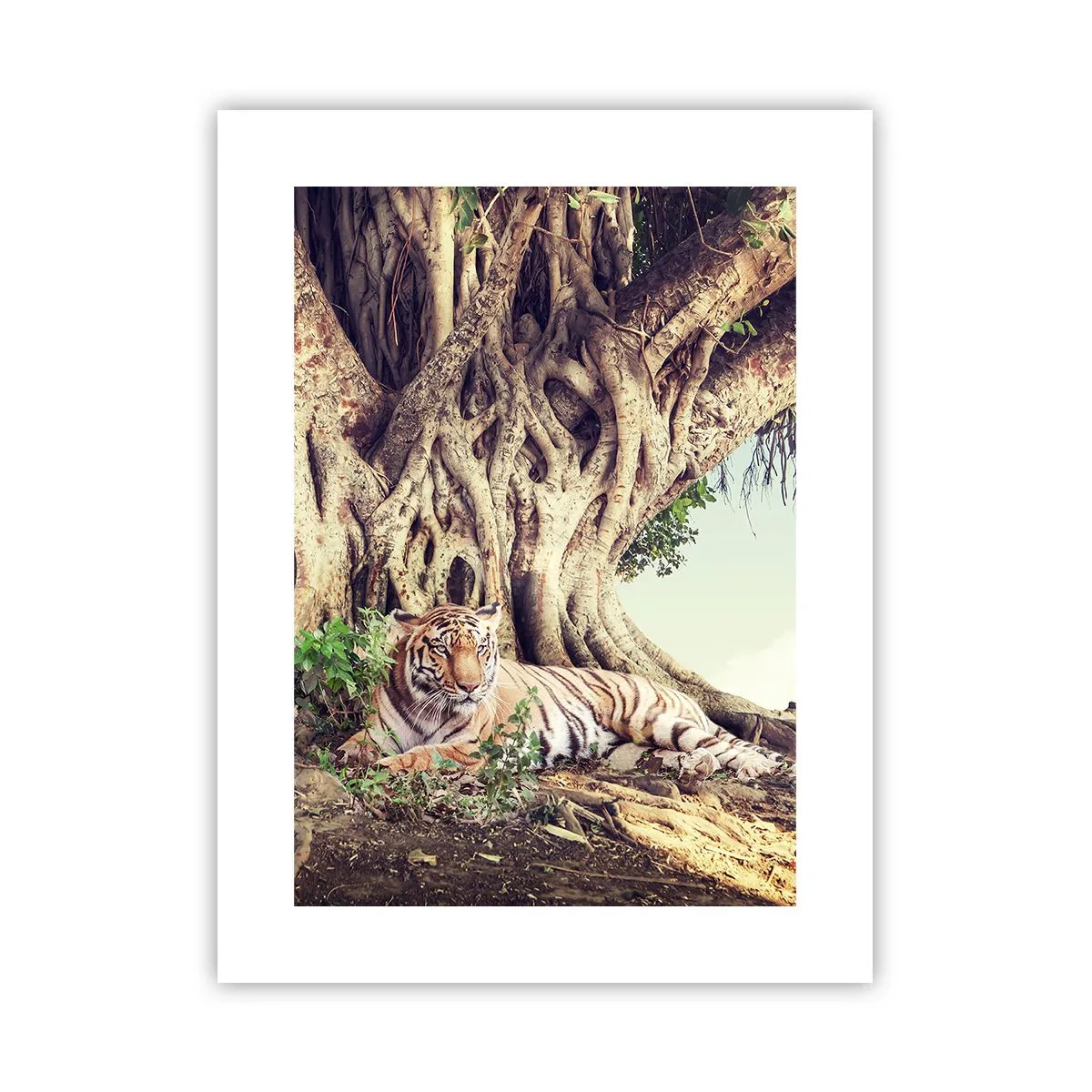 Póster - Una visión desde el Génesis - 30x40 cm