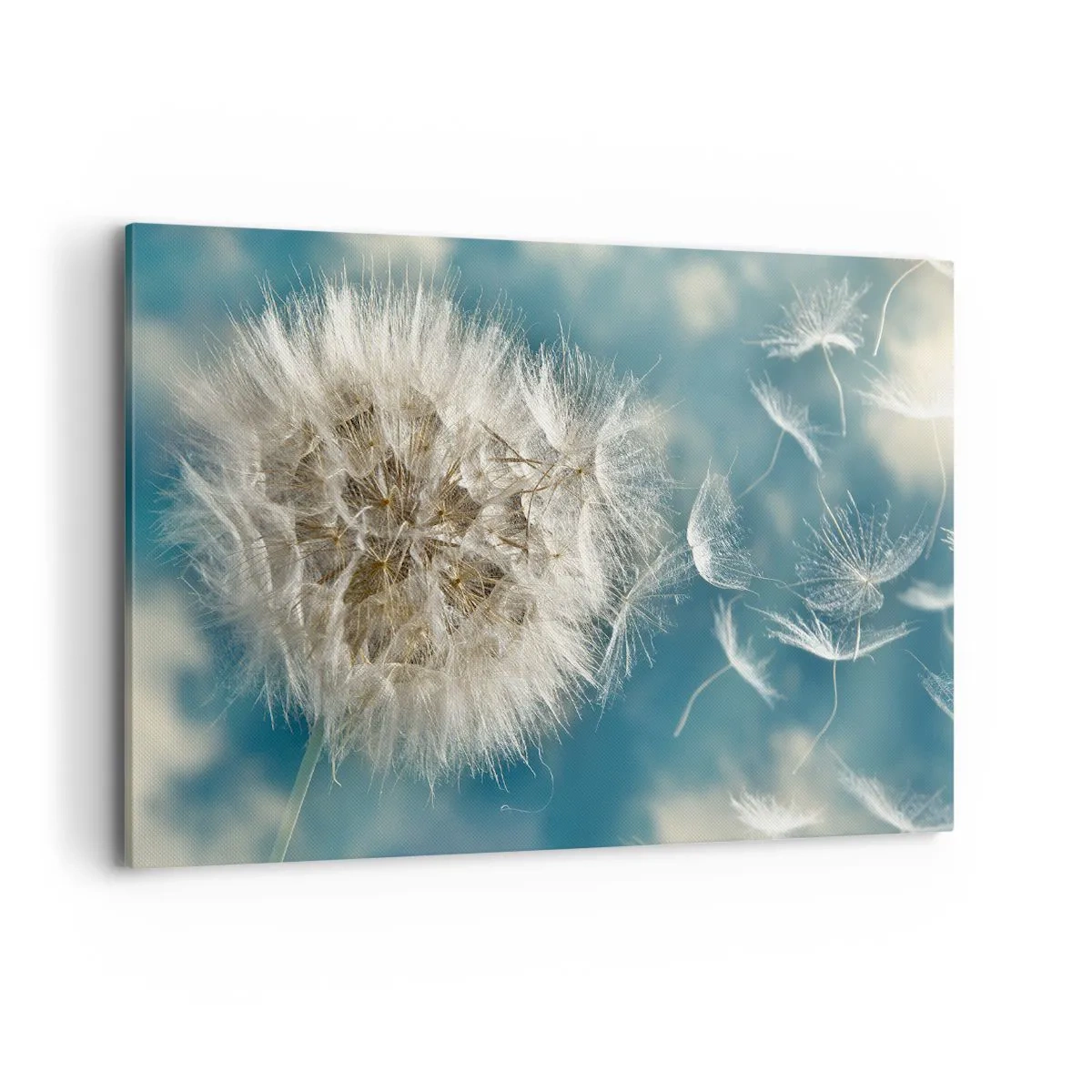 Cuadro sobre lienzo - Impresión de Imagen - Un diente de león desperdigado contra un cielo azul. - 120x80cm - El aliento de un ángel - Decoración de pared moderna para salón y dormitorio ARTTOR